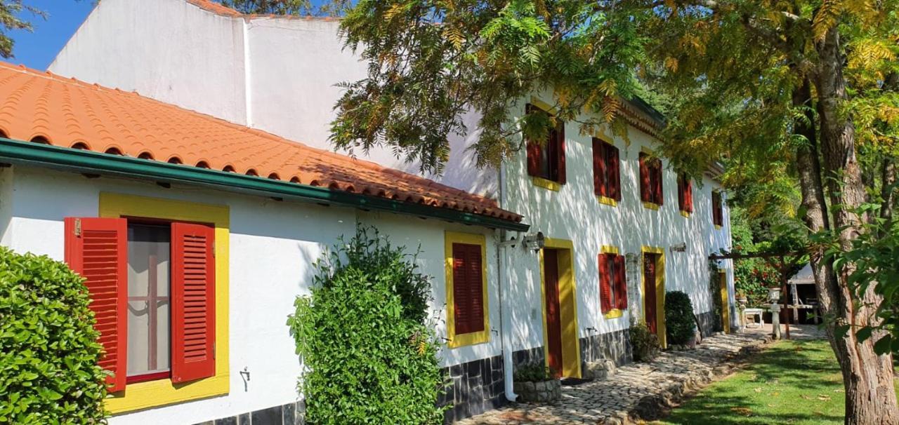 Apartment Quinta Flores Ferreira do Zezere