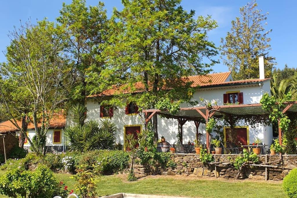 Quinta Flores