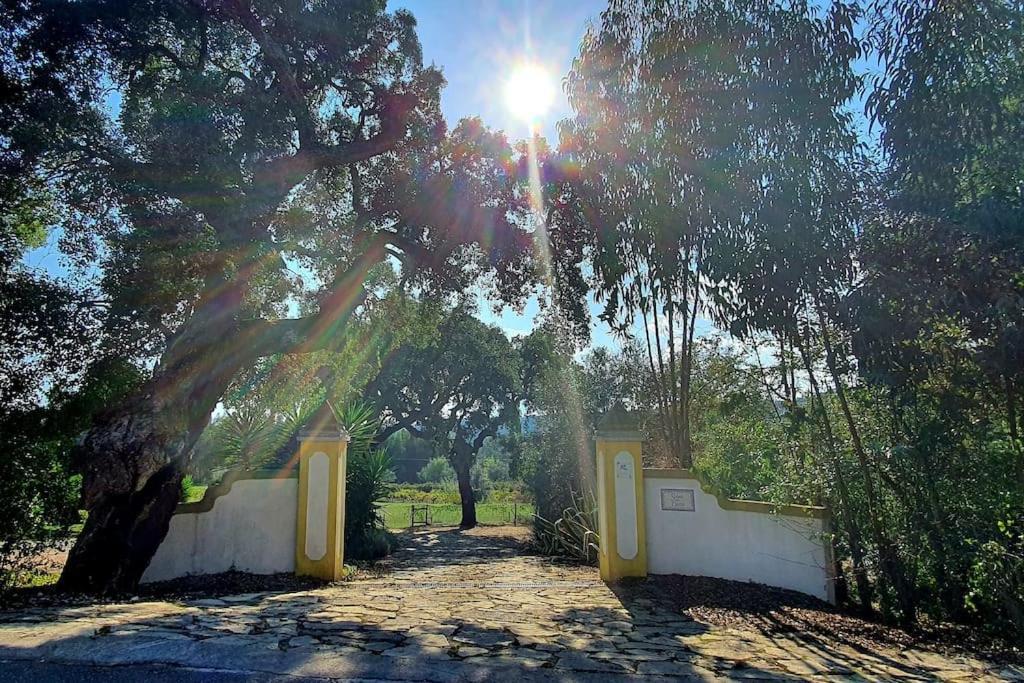 Quinta Flores
