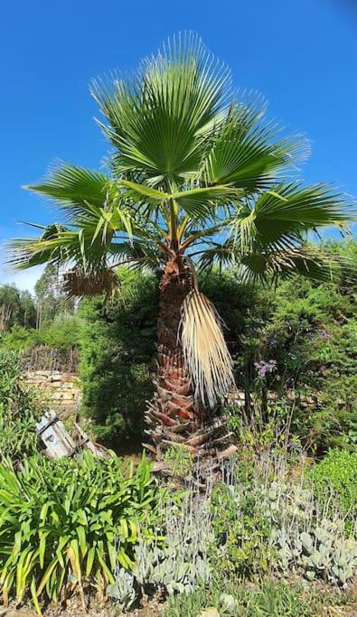 Quinta Flores Ferreira do Zezere