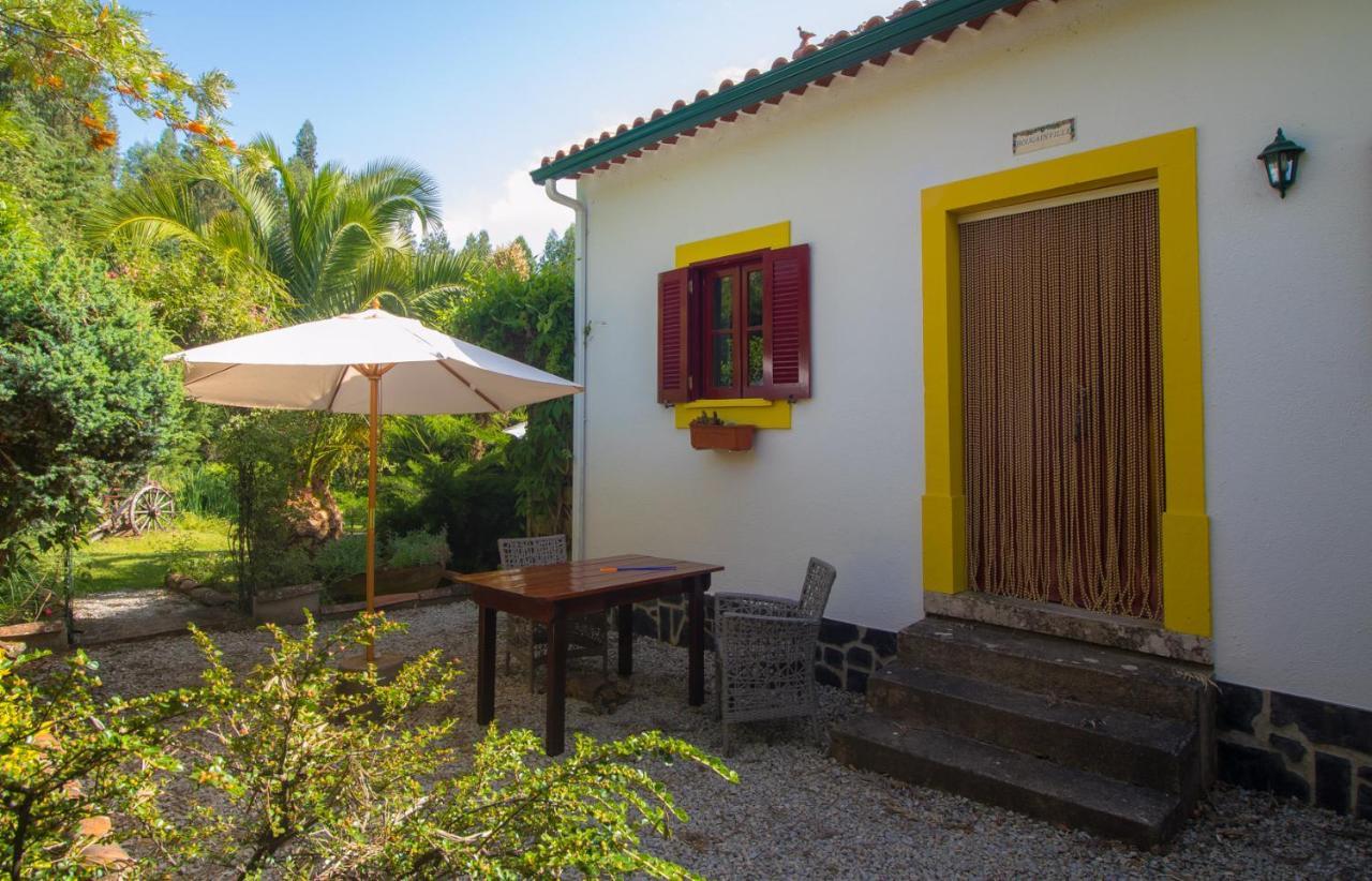 Apartment Quinta Flores Ferreira do Zezere